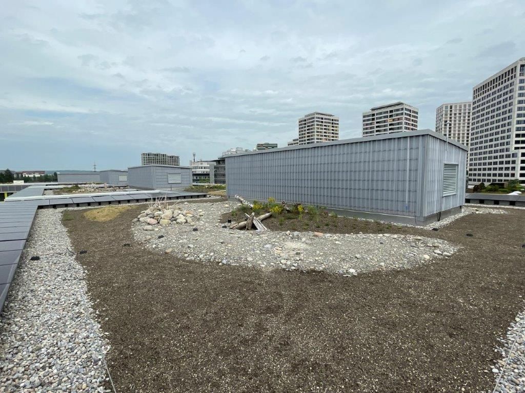 BVH-Firma Fehrtech Schweiz - Produkt PC-Wellplatte 350 m2  Diamond CS 177/51