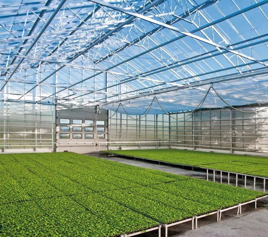 BVH-Gewächshaus - Produkt PC- Platten UV  8 mm